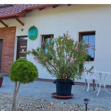 Patak Vendeghaz Hotel ซาลาแอแกร์แซค ภายนอก รูปภาพ